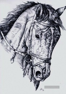  SCHWARZ Galerie - Pferd Bleistift Skizze Schwarz Weiß